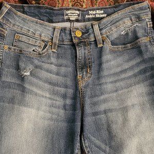 Levi Strauss signature